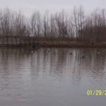 Last Day of Duck Season 2004