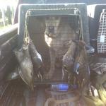 Early Teal Hunt